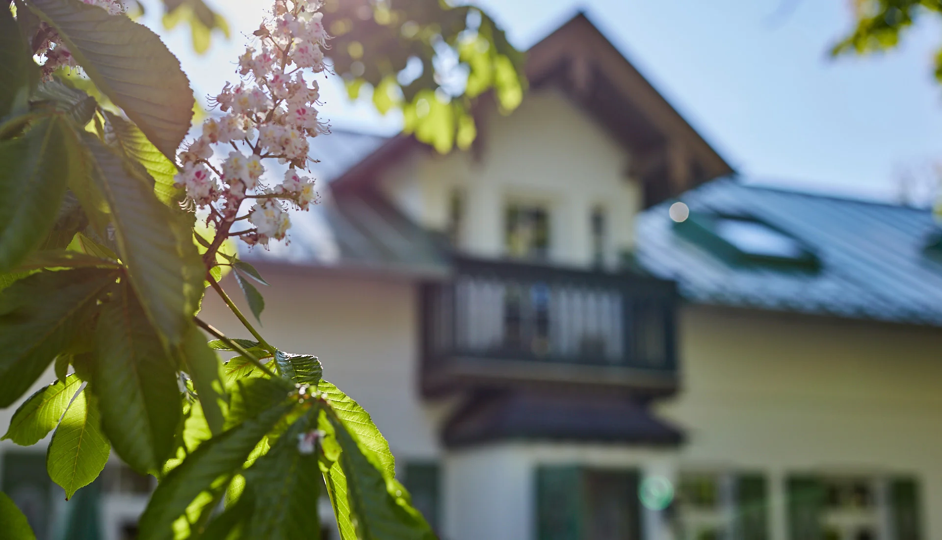 Kugler Alm Sommerwetter